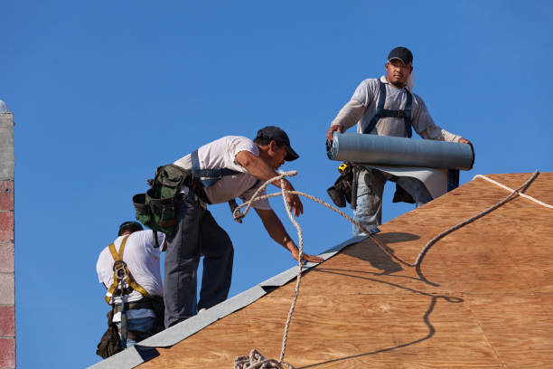 Best New Roof Installation  in Fish Hawk, FL