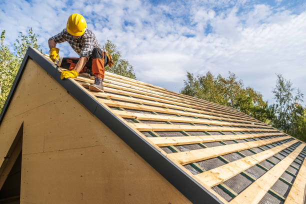 Roof Installation Near Me in Fish Hawk, FL