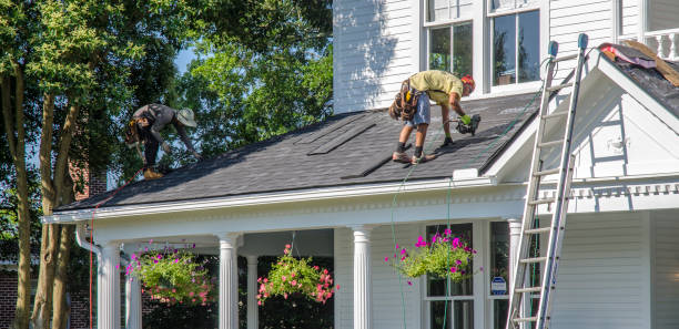 Best Roof Waterproofing Services  in Fish Hawk, FL
